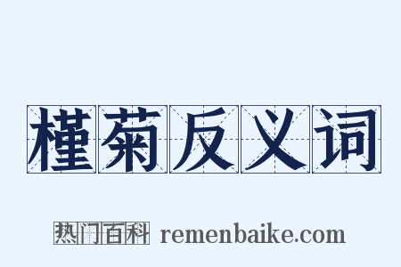 槿菊反义词是什么意思的图片